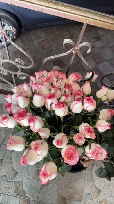 Цветы букет розы белые красные