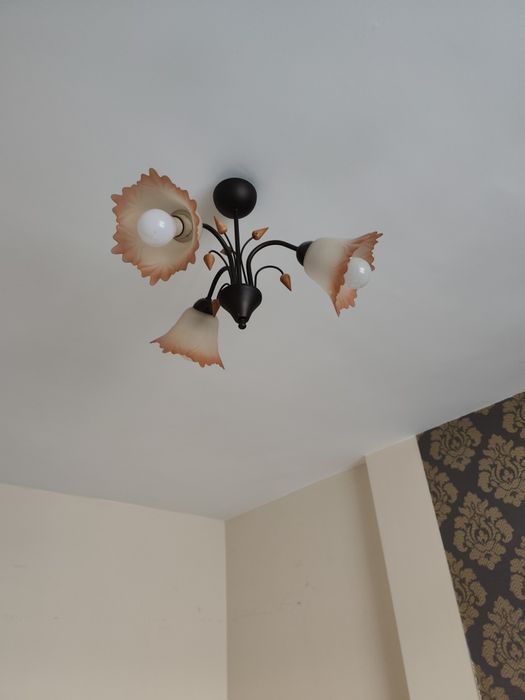 Полилей за пет крушки