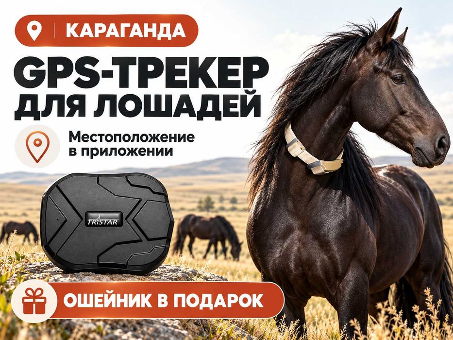 GPS трекер для лошадей. Жпс жылқыға