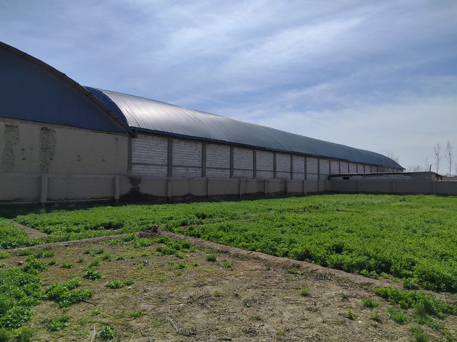 Участка сотилади 12 соток +2 соток кушимчаси бор