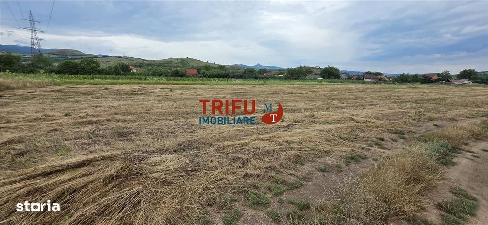 Teren de vanzare in Sard cu suprafata de 1374 mp