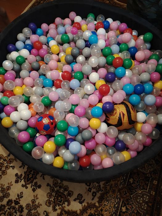 Продам сухой басеин большой