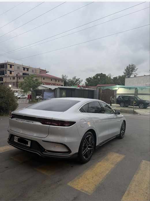 Byd han 2024 yil 605 tali
