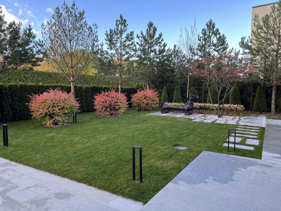 Озеленение | газон | автополив