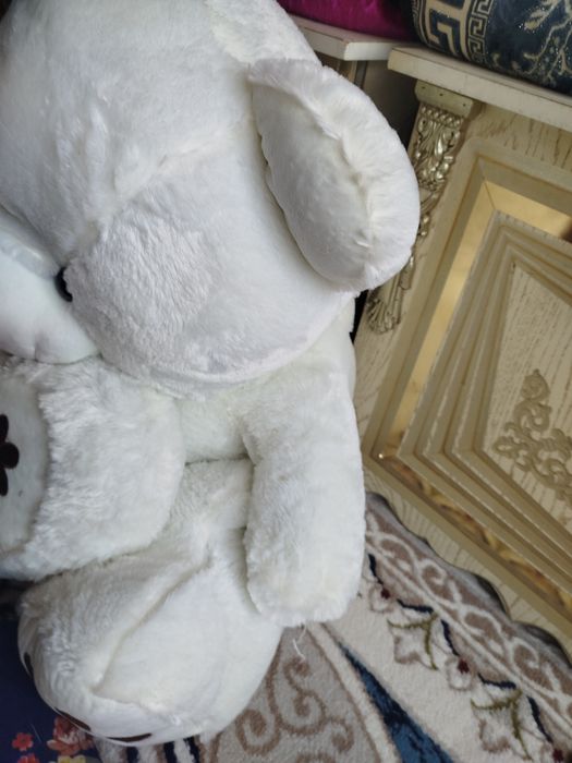 Katta ayiq yangi umuman ishlatilmagan