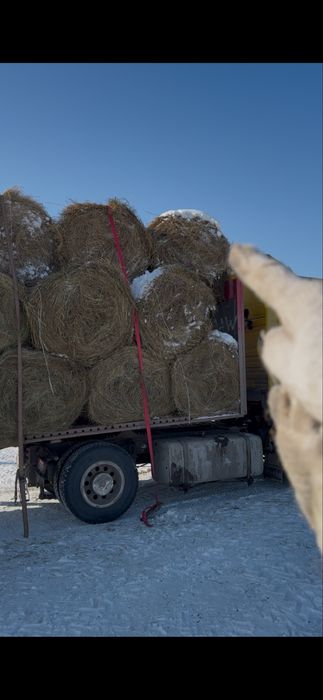 Сено житняк в Рулонах.