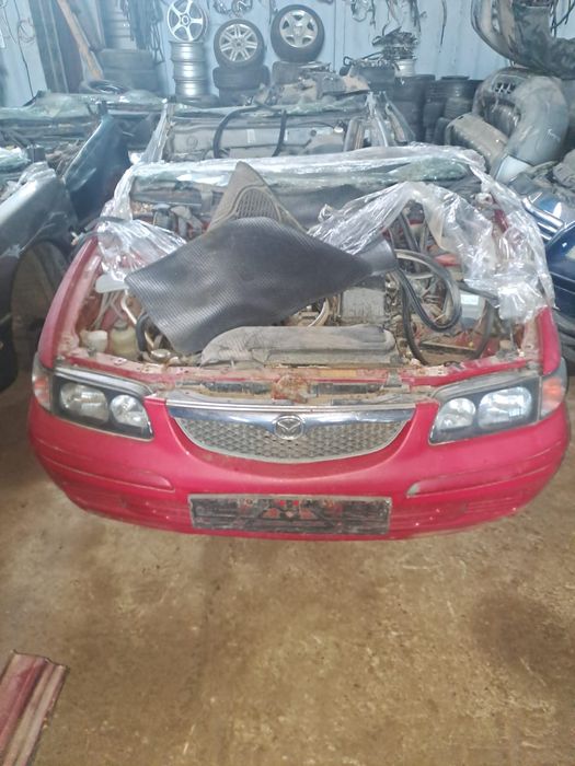 Новый привоз авкаров