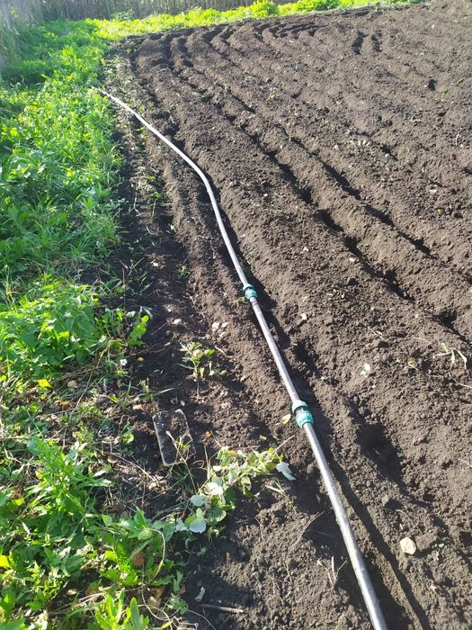 Дача в сообществе ромашка