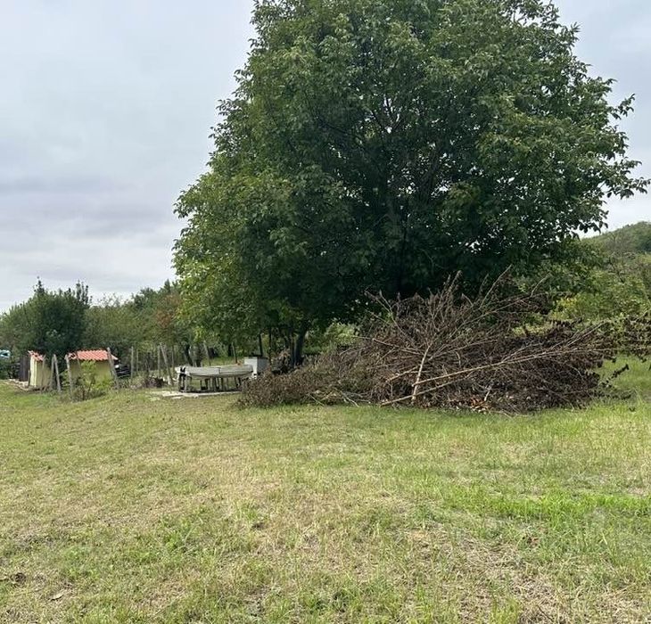 ГРАДИНА / терен / парцел / в гр. Силистра