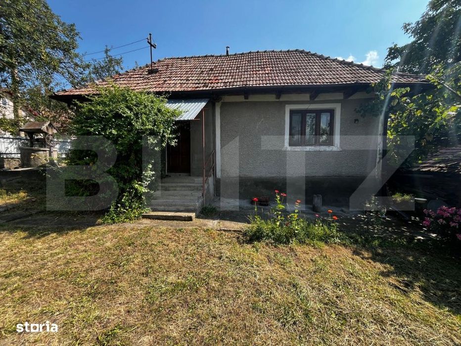 Casa traditionala, teren generos, 1700mp, Rediu