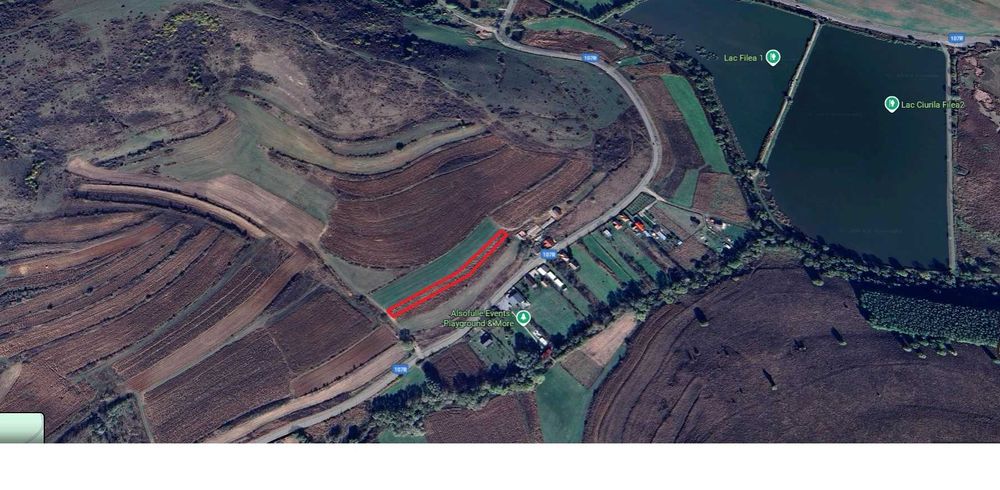 Vând teren intravilan 2.100 mp – Filea de Jos, Ciurila,