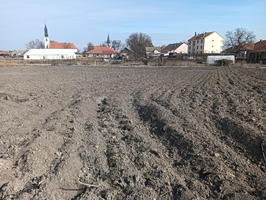 Vând      grădină