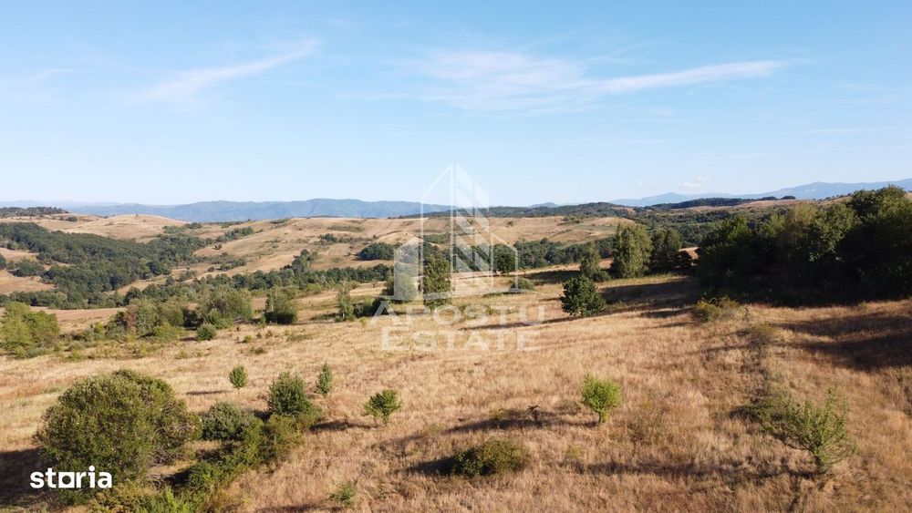 Teren de 50.000mp, priveliste panoramica spre munte si lac, Hunedoara