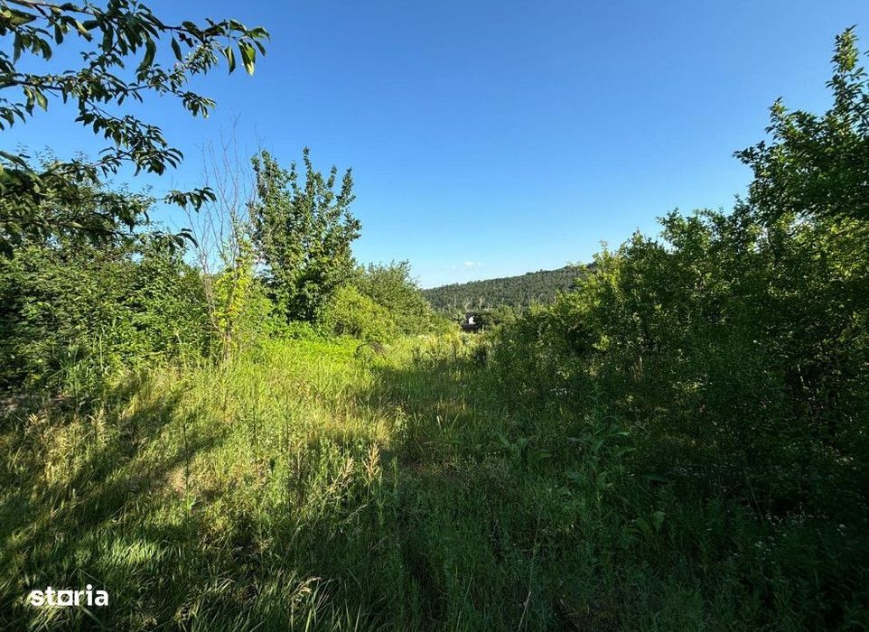 Teren intravilan Valea Adanca , 2540 metri Cod:155291