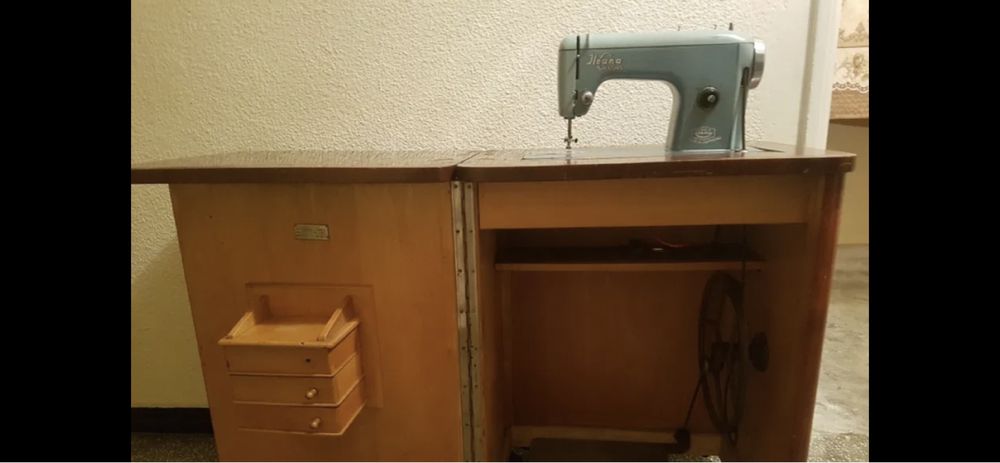 Maina de cusut  Veronica