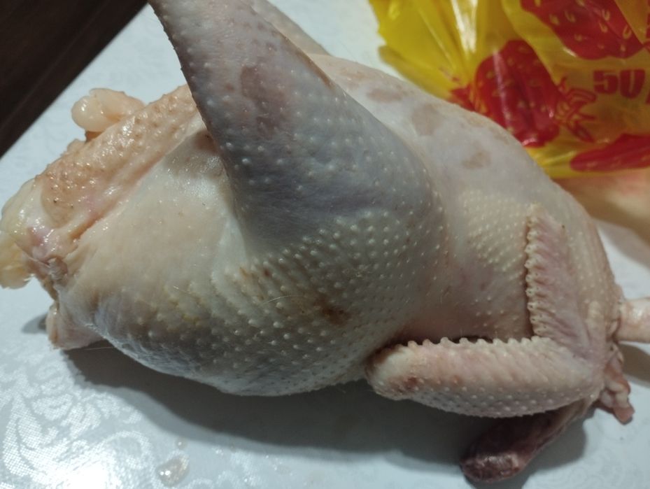 Куры домашние откормленные