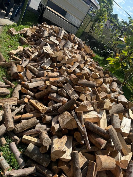 Lemn de foc fag și carpen livrat în Livezeni/Corunca