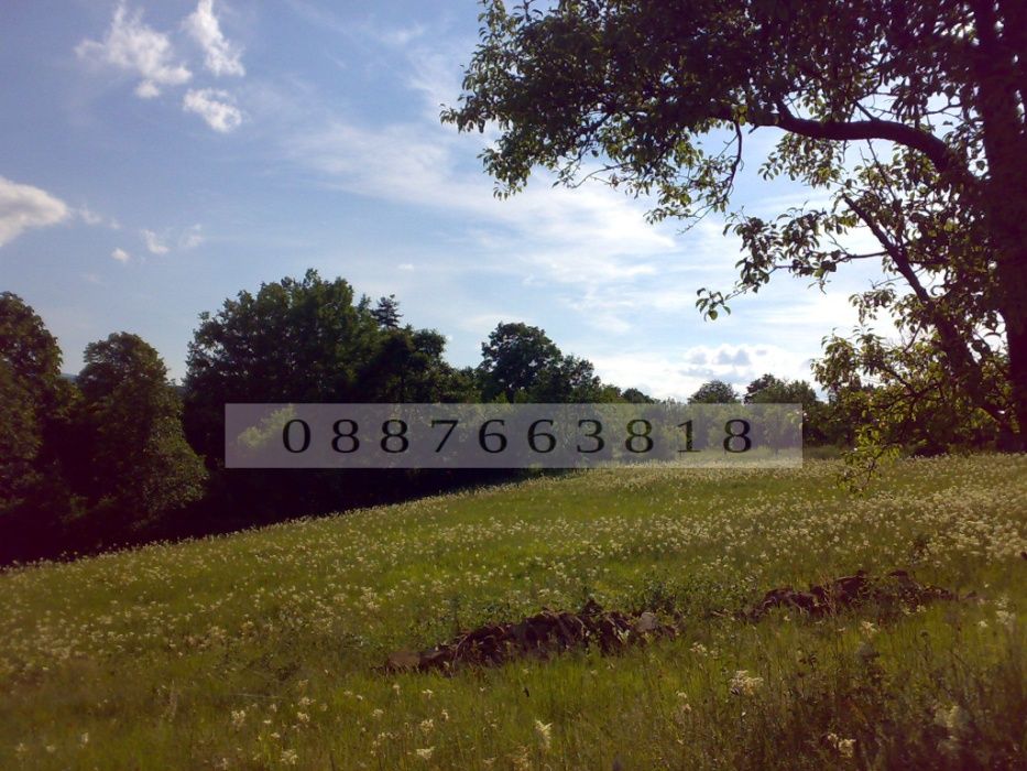 Продава се Парцел в с. Драшкова поляна, Област Ловеч - 4500 кв.м за 6 €/кв.м - Снимка #4