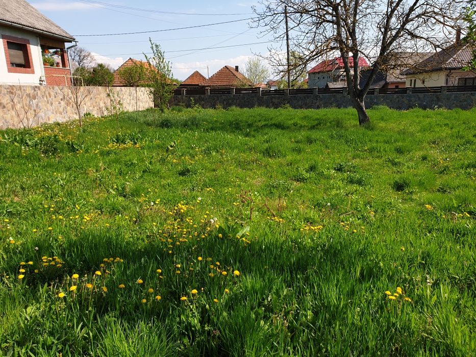 Teren împrejmuit cu gard placat cu piatră naturală  11 arii la