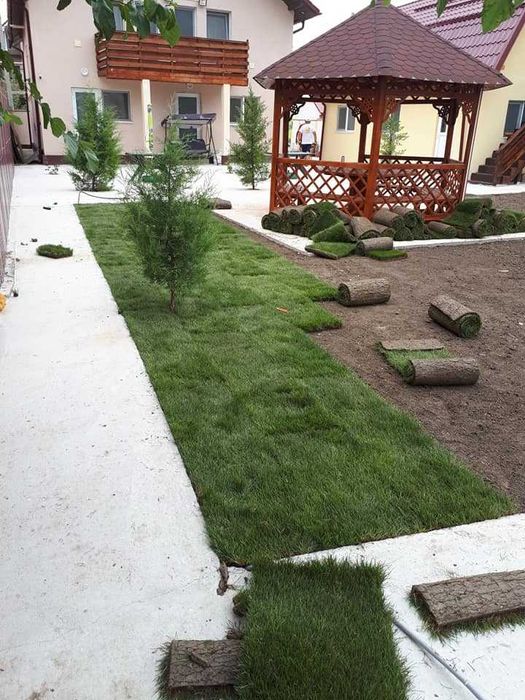 Amenajare grădini, toaletare pomi, scarificare-insamantare gazon!