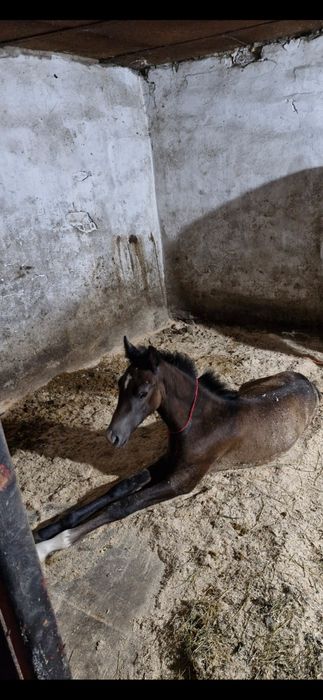 Находимся в Темиртау