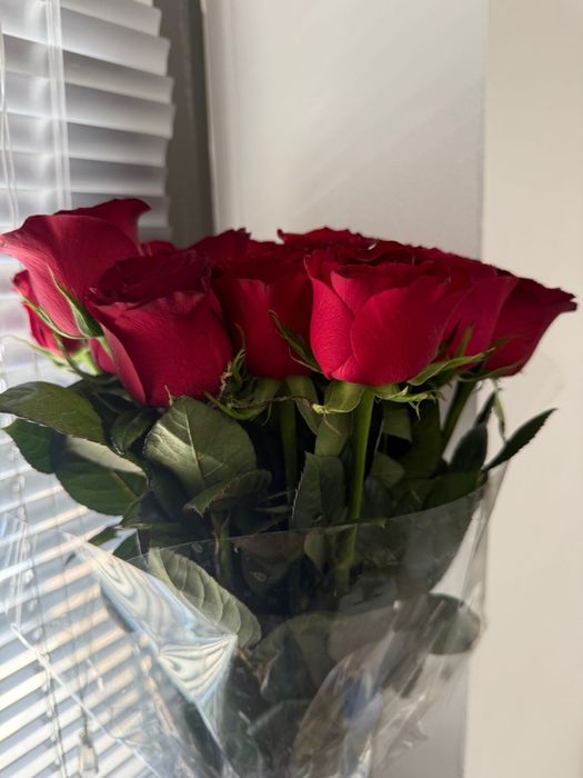 Продам цветы сегодняшние