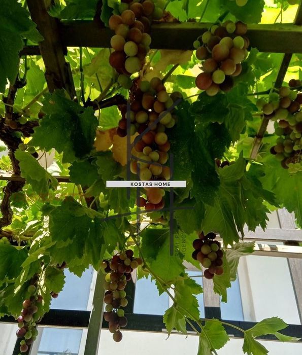 Къща в Варна, област-с.Бенковски площ 285 цена 195000