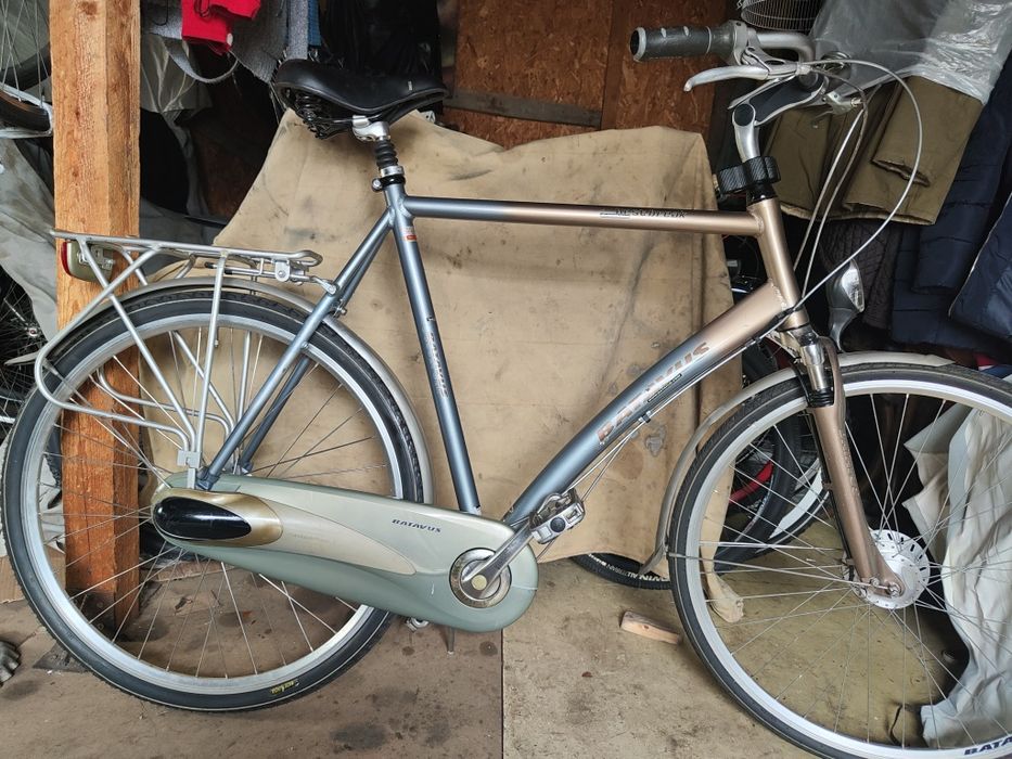 Biciclete olanda italia