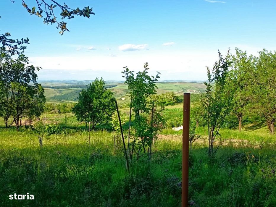 Teren intravilan 1340 mp, front 15,74 m, in sat Gheorgheni