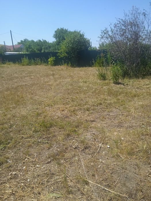 Сток сено в месте с участком 10с
