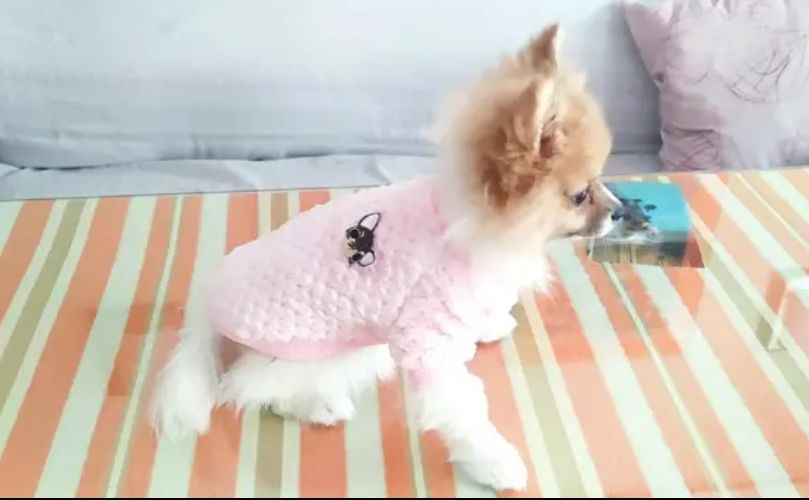 Bluza roz animale de companie caini pisici noua 25 cm