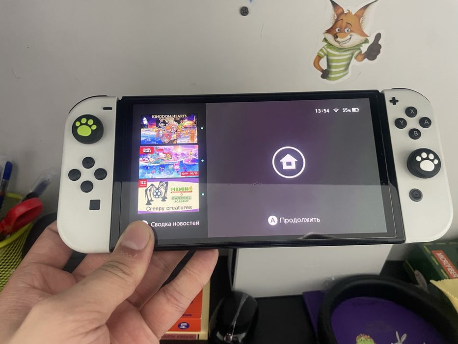 Нинтенто switch идеально жасайд