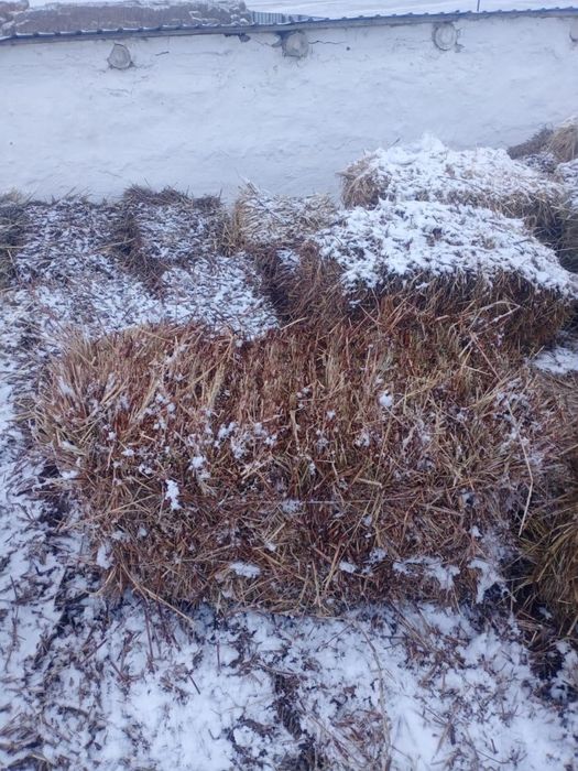 Сено отличного качества