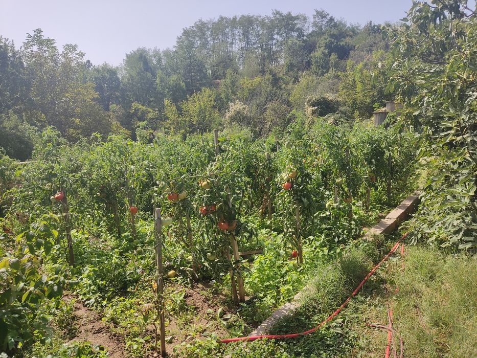 Продава се Къща в с. Логодаж, Област Благоевград - 280 кв.м за 715 €/кв.м - Снимка #20