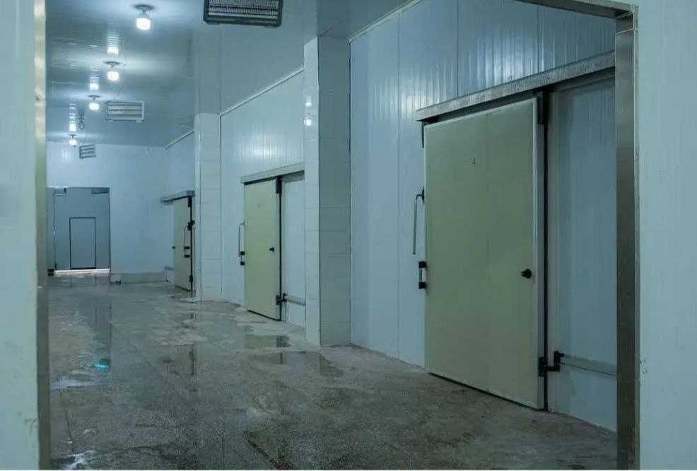 База-холодильник в Назарбеке 50-сот строения 18000 м² на 2000 тонн кур
