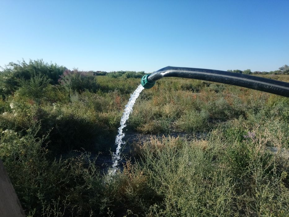 5 гектар жер сатылады