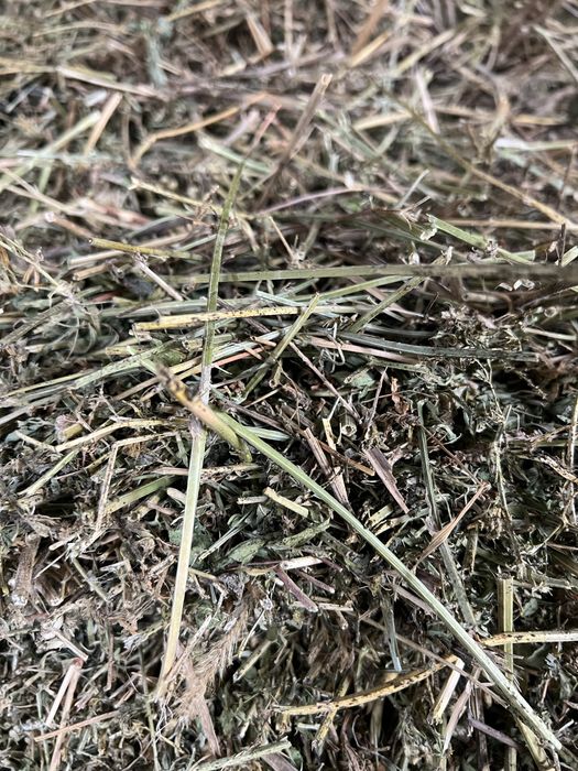 Vând baloții lucerna