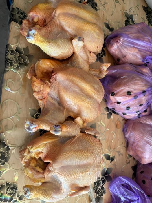 Куры домашние бройлеры