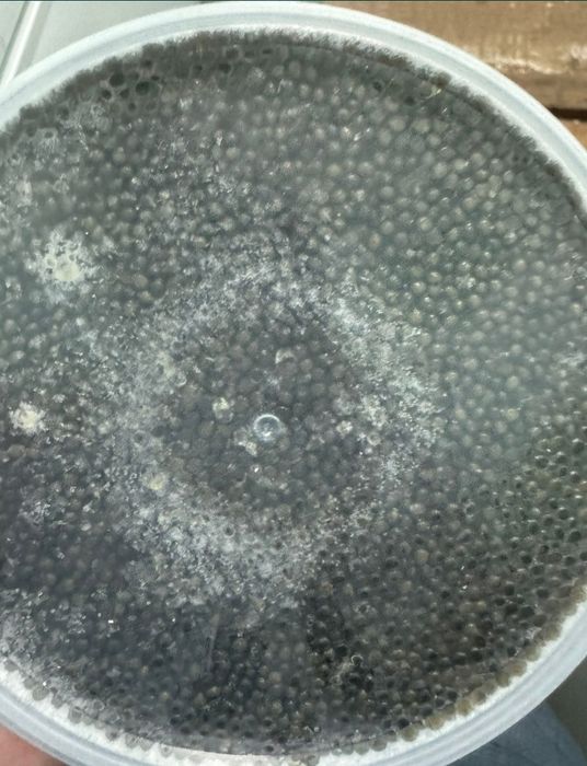 Полезная витаминами икра