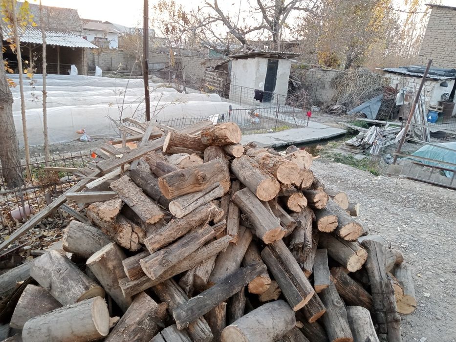 Oʻtin , yaxshi yonadigan quruq