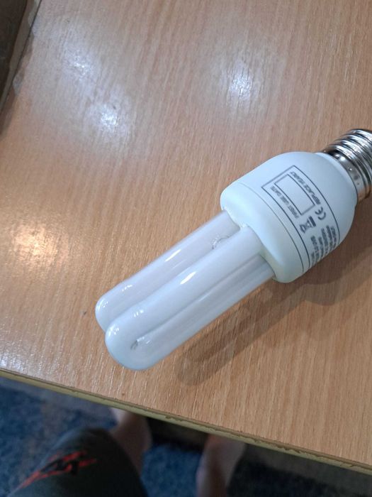 terariu pentru reptile plus accesorii