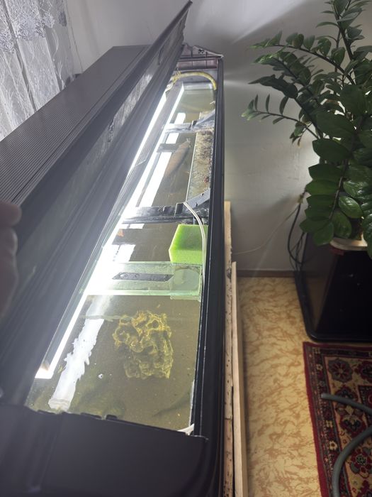 Аквариум 500 литров