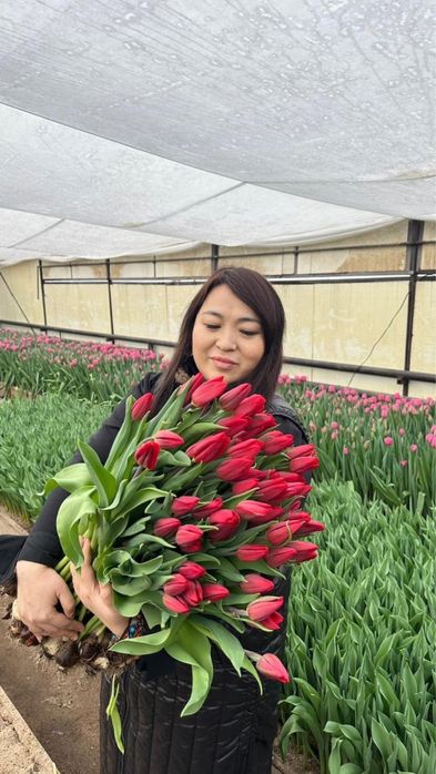 Тюльпаны оптом Астана