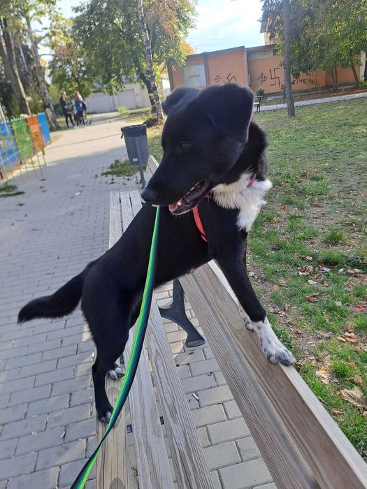 ДОМ за Миа София