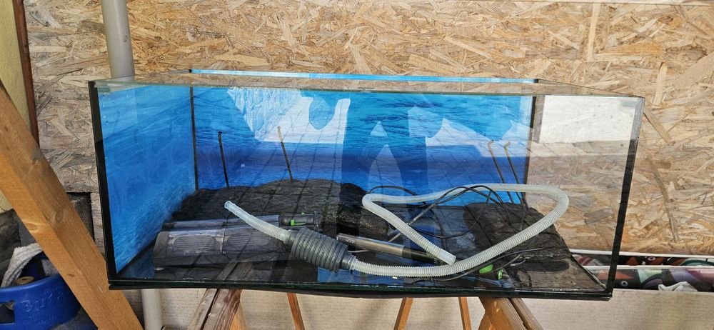 Acvariu broscute testoase!