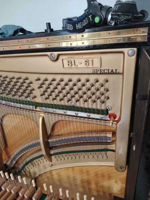 Pianina oferta de vara