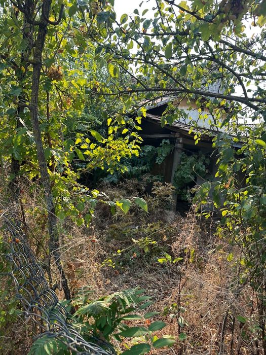 Teren si casa comuna Leu