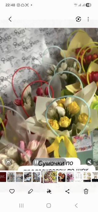 Тюльпаны в широком ассортименте