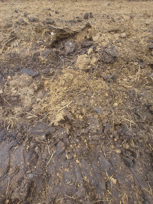 Продам навоз для удобрения