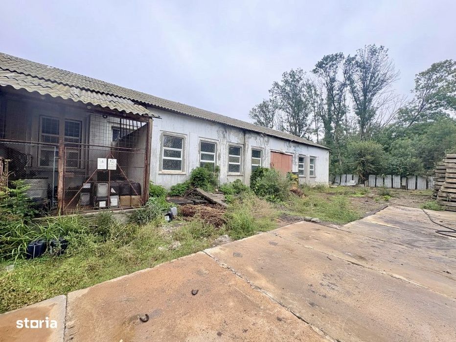 Hala 450 mp in mijlocul padurii Valu lui Traian 1875 mp